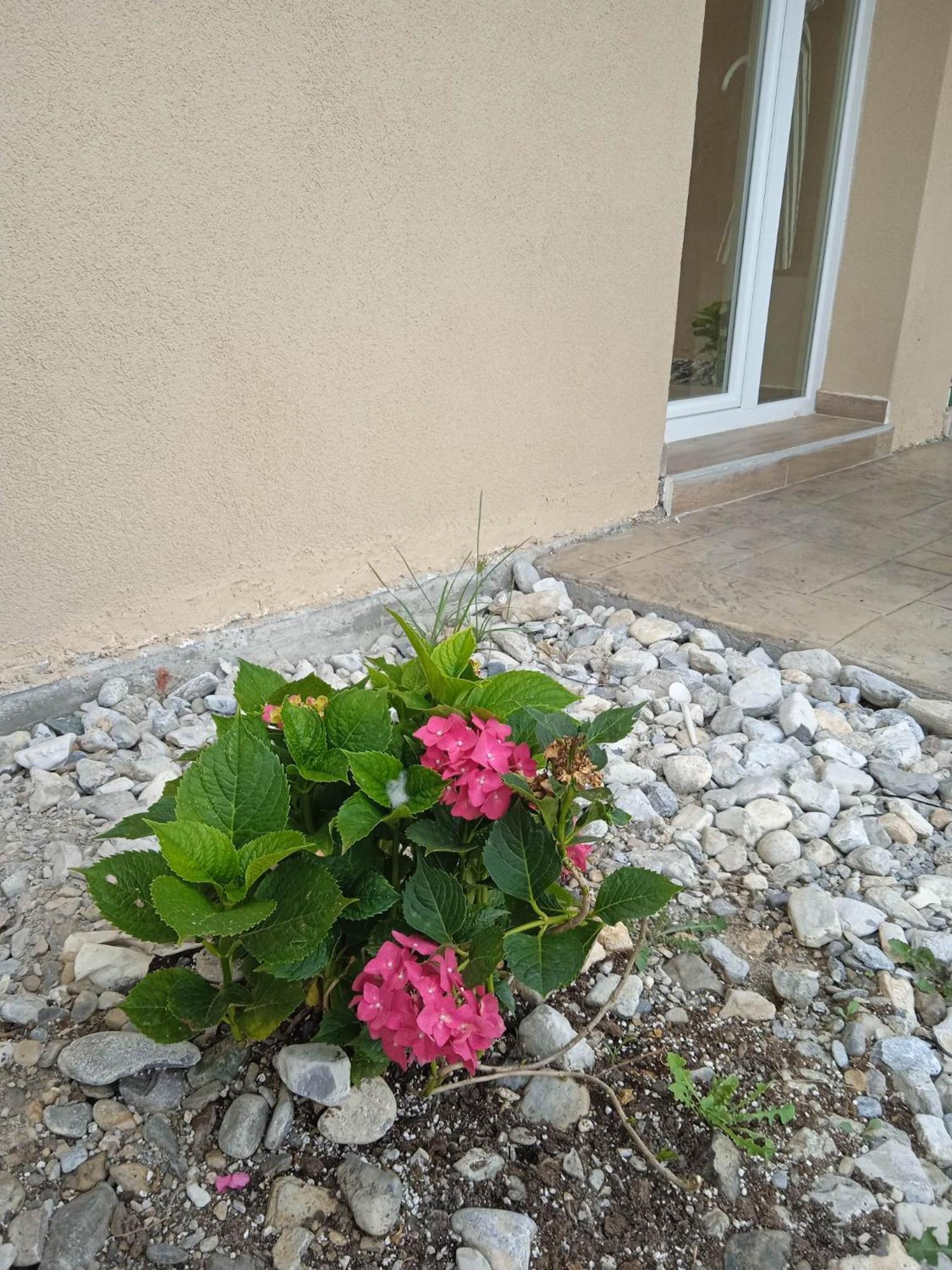 Sylias Village Skala Korinou 外观 照片